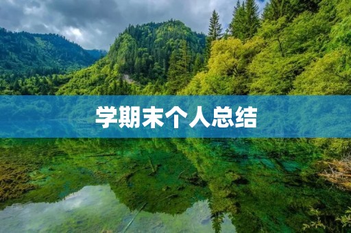 学期末个人总结