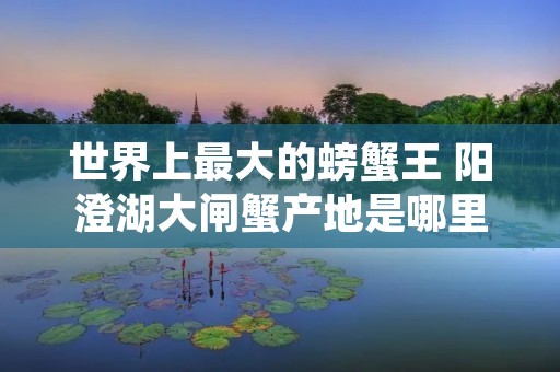 世界上最大的螃蟹王 阳澄湖大闸蟹产地是哪里