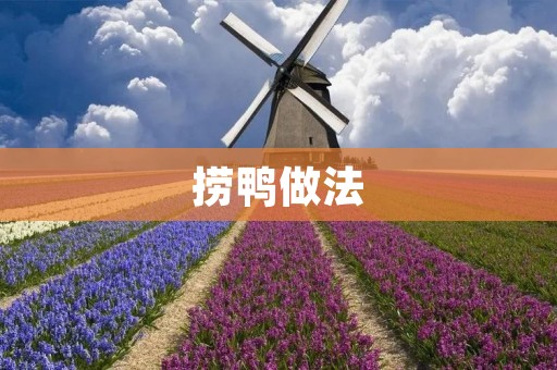 捞鸭做法:让你在家也能品尝到正宗的美味 捞鸭做法:让你在家也能品尝到正宗的美味