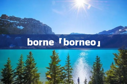 borne「borneo」