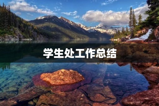 学生处工作总结：助力学生成长