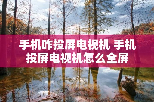 手机咋投屏电视机 手机投屏电视机怎么全屏