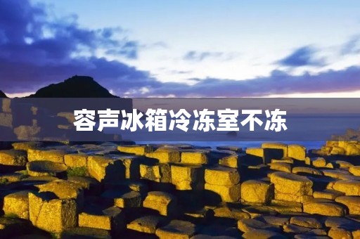 容声冰箱冷冻室不冻:原因及解决方法 容声冰箱冷冻室不冻:原因及解决方法