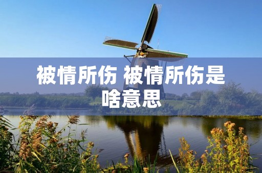 被情所伤 被情所伤是啥意思