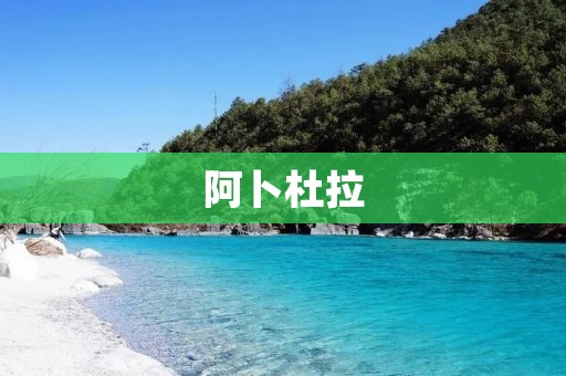 阿卜杜拉:一个伟大的领袖 阿卜杜拉:一个伟大的领袖