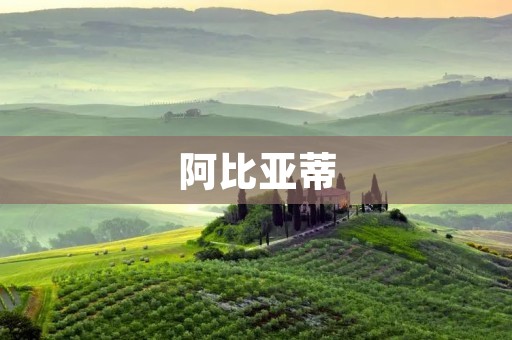 阿比亚蒂：意大利足球的中场核心