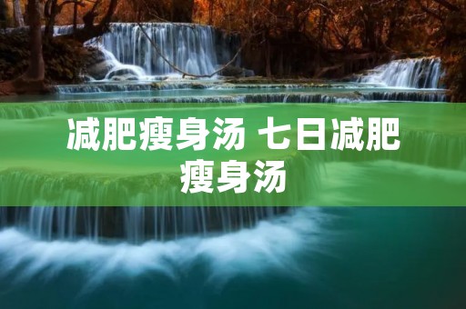减肥瘦身汤 七日减肥瘦身汤