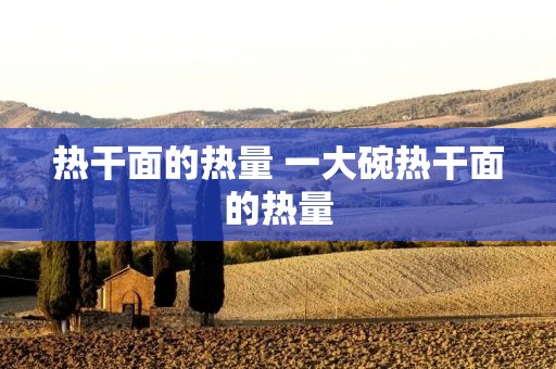 热干面的热量 一大碗热干面的热量