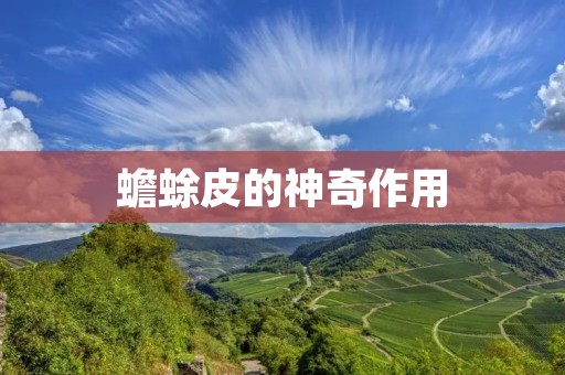 蟾蜍皮的神奇作用 蟾蜍皮的神奇作用