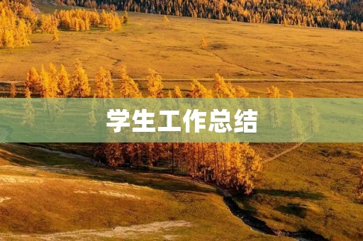 学生工作总结：助力成长，创造未来