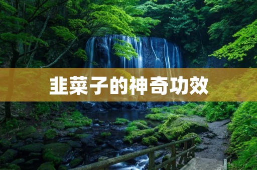 韭菜子的神奇功效:从减肥到调理身体 韭菜子的神奇功效:从减肥到调理身体