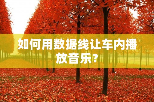 如何用数据线让车内播放音乐？
