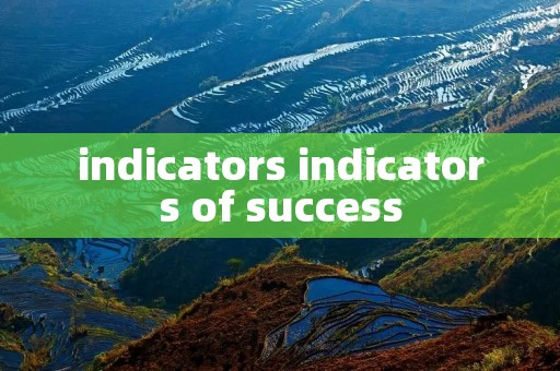 indicators indicators of success