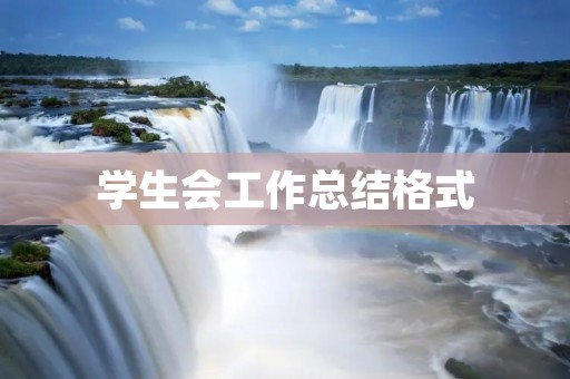学生会工作总结格式