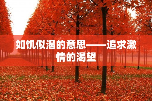 如饥似渴的意思——追求激情的渴望