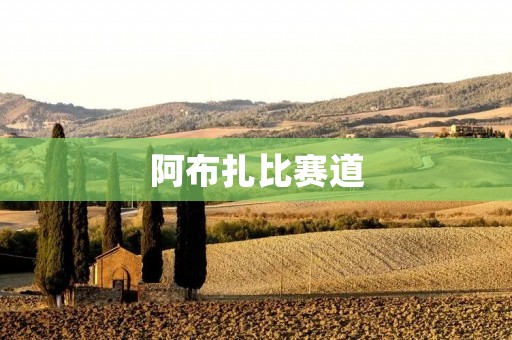 阿布扎比赛道:一座令人神往的赛车天堂 阿布扎比赛道:一座令人神往的赛车天堂