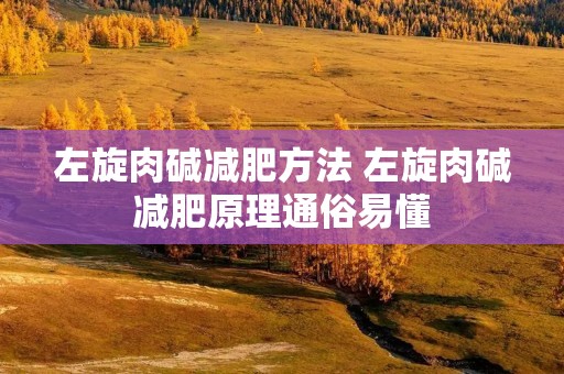 左旋肉碱减肥方法 左旋肉碱减肥原理通俗易懂