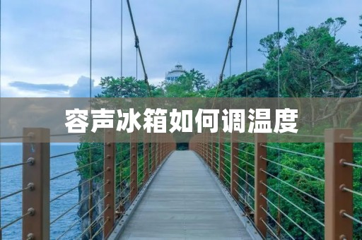 容声冰箱如何调温度：详细操作指南