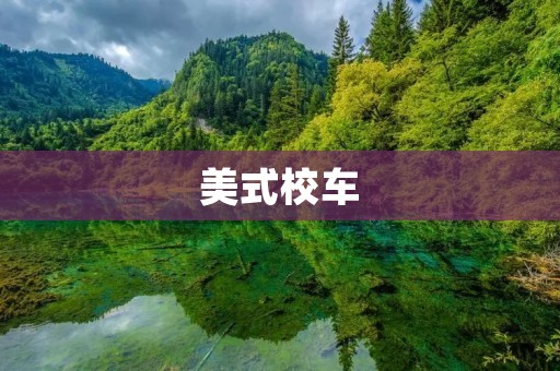 美式校车:安全、舒适、时尚的校园代步工具 美式校车:安全、舒适、时尚的校园代步工具