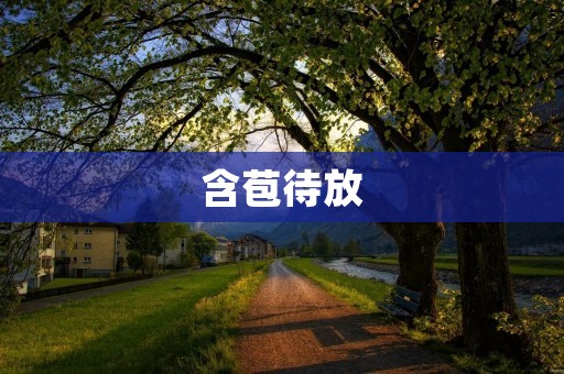 含苞待放:如何在等待中迎接美好的未来? 含苞待放:如何在等待中迎接美好的未来?