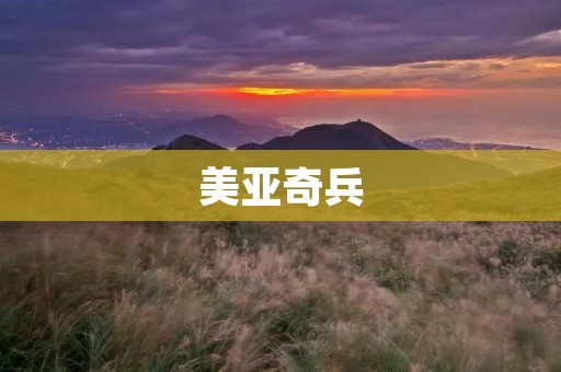 美亚奇兵:亚洲儿童文学中的一颗璀璨明珠 美亚奇兵:亚洲儿童文学中的一颗璀璨明珠