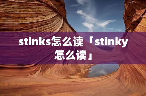 stinks怎么读「stinky怎么读」 stinks怎么读「stinky怎么读」