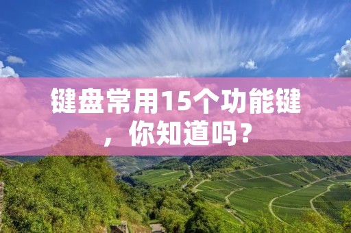 键盘常用15个功能键，你知道吗？