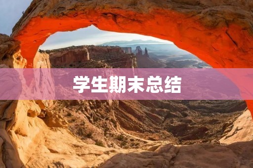 学生期末总结：回顾过去，展望未来