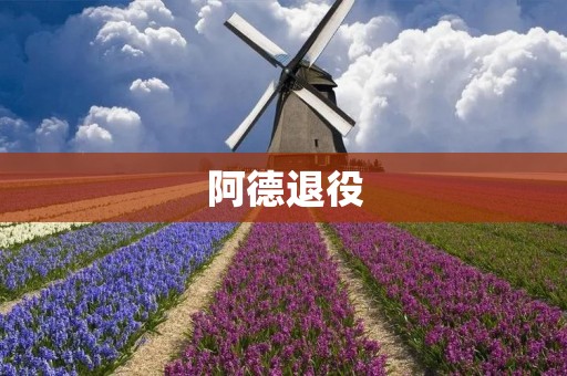 阿德退役：NBA历史上的传奇球员告别赛季