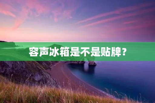 容声冰箱是不是贴牌？