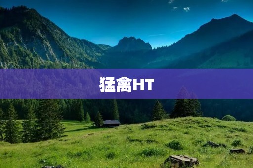 猛禽HT:高性能的智能飞行控制系统 猛禽HT:高性能的智能飞行控制系统