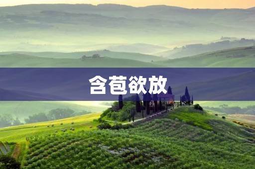 含苞欲放:花儿的成长之路 含苞欲放:花儿的成长之路
