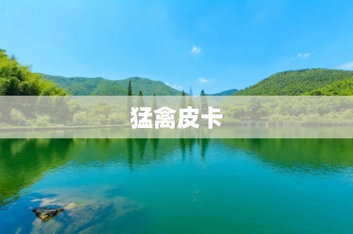 猛禽皮卡：打造越野王者