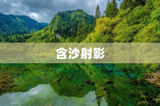 含沙射影:隐蔽的暴力 含沙射影:隐蔽的暴力