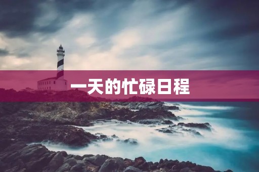 一天的忙碌日程