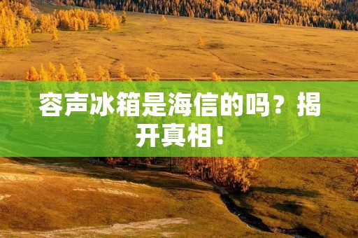 容声冰箱是海信的吗？揭开真相！
