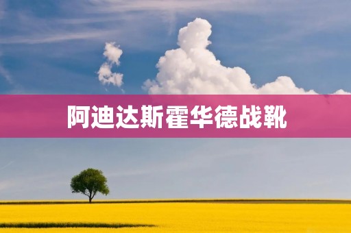 阿迪达斯霍华德战靴：科技与时尚的完美结合