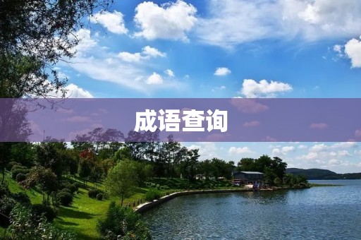 成语查询：从历史文化到现代应用