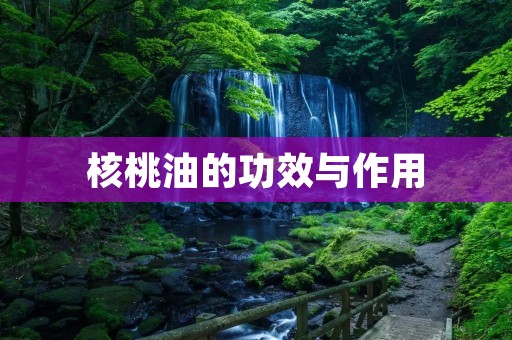 核桃油的功效与作用:多种营养素滋养身体 核桃油的功效与作用:多种营养素滋养身体