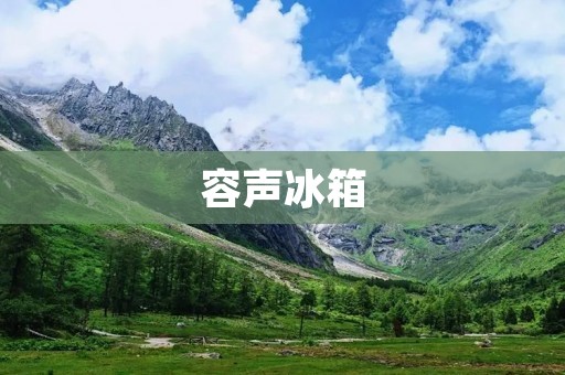 容声冰箱：老牌子还是新宠？