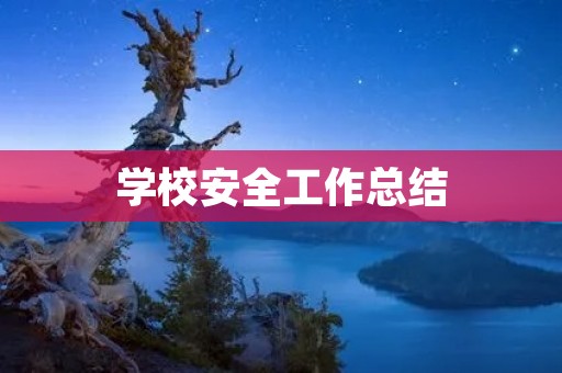 学校安全工作总结
