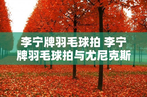 李宁牌羽毛球拍 李宁牌羽毛球拍与尤尼克斯羽毛球拍比较 李宁牌羽毛球拍 李宁牌羽毛球拍与尤尼克斯羽毛球拍比较