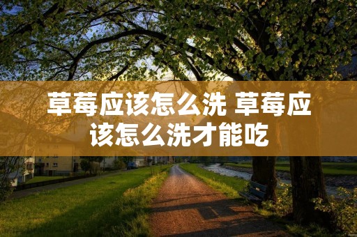 草莓应该怎么洗 草莓应该怎么洗才能吃
