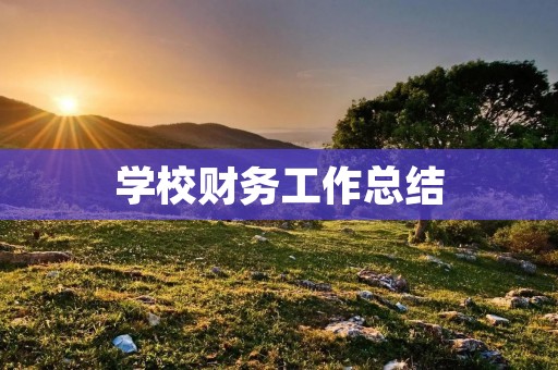 学校财务工作总结