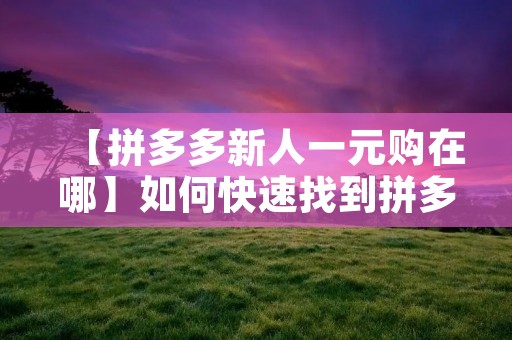 【拼多多新人一元购在哪】如何快速找到拼多多新人一元购活动？