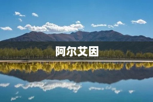阿尔艾因:沙漠中的绿洲 阿尔艾因:沙漠中的绿洲