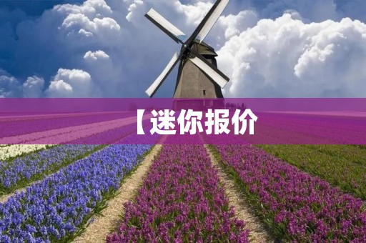 【迷你报价:让你的产品更具竞争力】 【迷你报价:让你的产品更具竞争力】