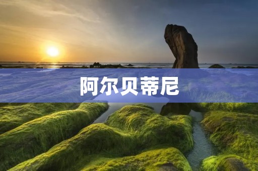 阿尔贝蒂尼:意大利足球的传奇 阿尔贝蒂尼:意大利足球的传奇