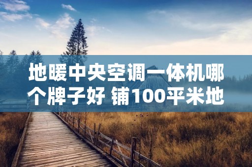 地暖中央空调一体机哪个牌子好 铺100平米地暖多少钱