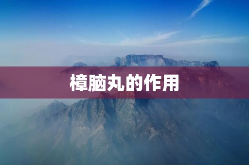 樟脑丸的作用：解热镇痛、祛风散寒、止咳化痰